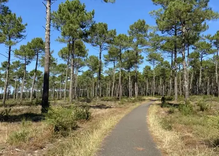 Agreable 3* Non Loin De L'ocean Appartement Biscarrosse